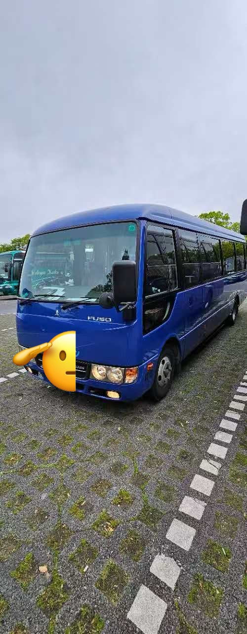 minibus in Japan with pro driver